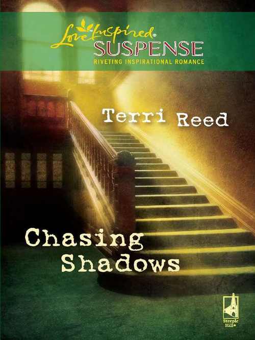 Chasing Shadows by Terri Reed