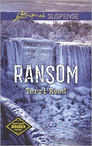 Excerpt of Ransom by Terri Reed