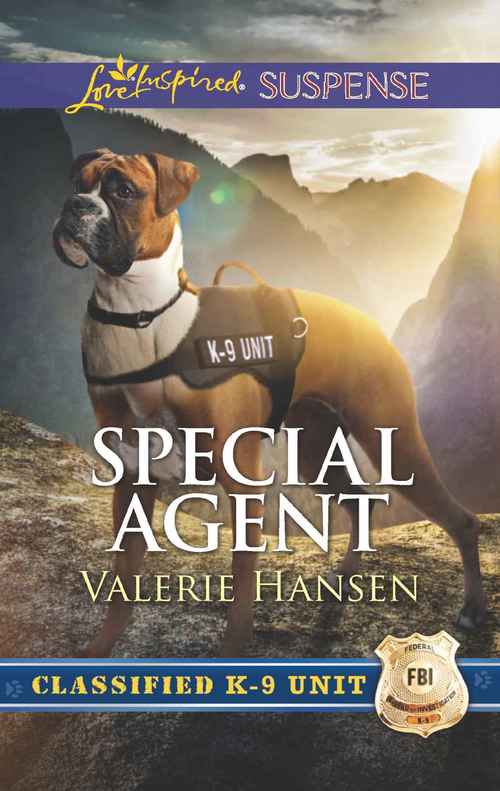 Special Agent by Valerie Hansen