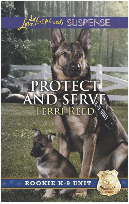 Excerpt of Protect And Serve by Terri Reed