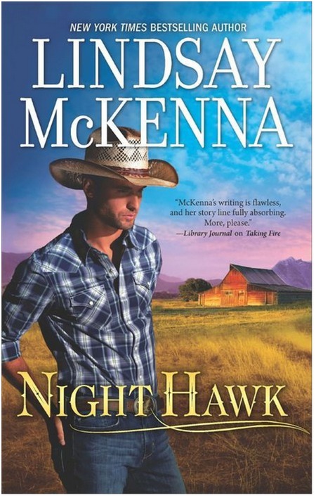 Excerpt of Night Hawk by Lindsay McKenna