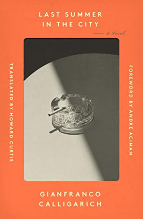 Last Summer in the City by Howard Curtis