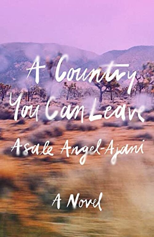 A Country You Can Leave by Asale Angel-Ajani