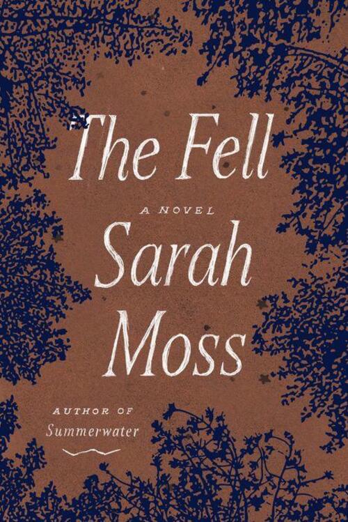 The Fell by Sarah Moss