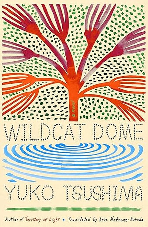 Wildcat Dome by Yuko Tsushima