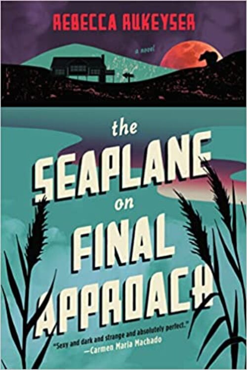 The Seaplane on Final Approach by Rebecca Rukeyser