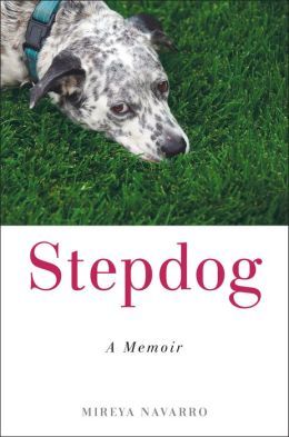 Stepdog by Mireya Navarro