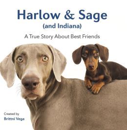 Harlow & Sage (and Indiana) by Brittni Vega