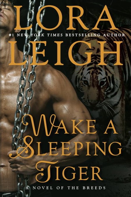 Wake a Sleeping Tiger by Lora Leigh
