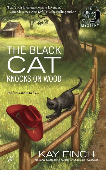 The Black Cat Knocks on Wood by Kay Finch