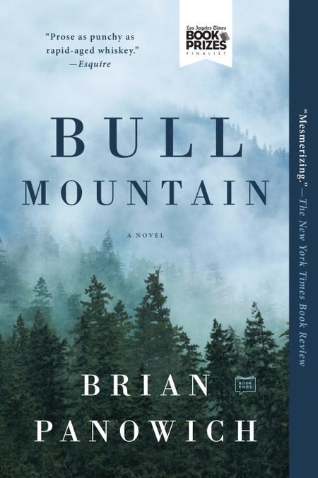 Bull Mountain by Brian Panowich