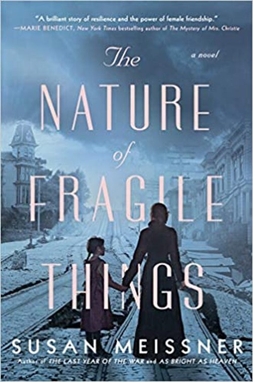 The Nature of Fragile Things by Susan Meissner