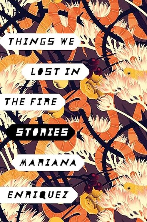 Things We Lost in the Fire by Mariana Enriquez