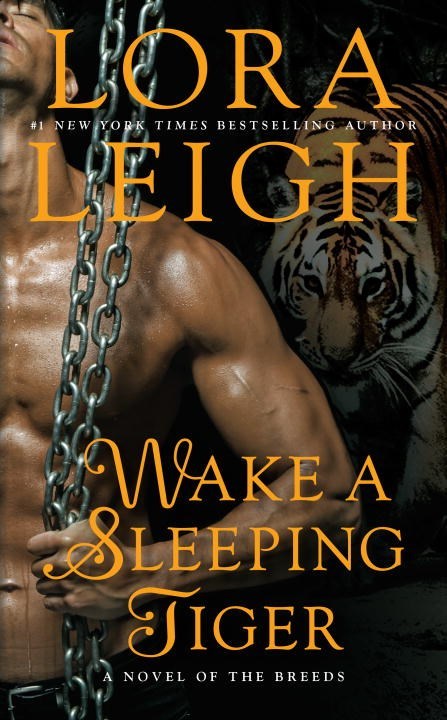 Wake a Sleeping Tiger by Lora Leigh