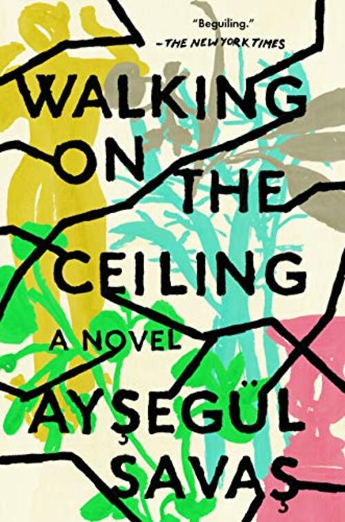 Walking on the Ceiling by Aysegl Savas