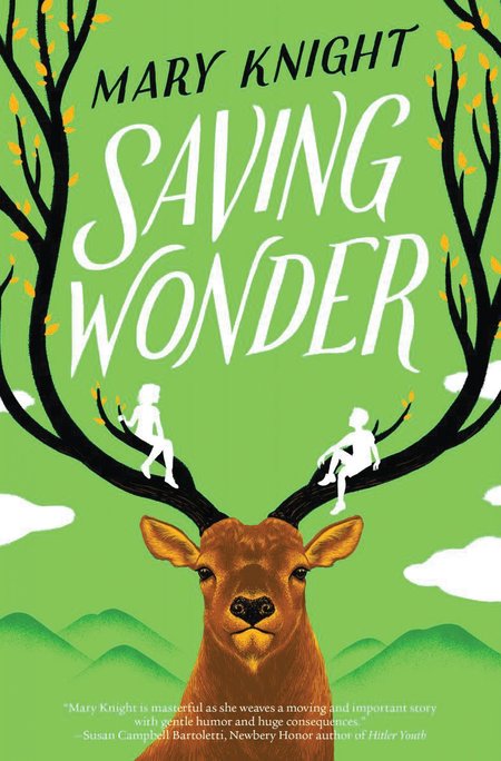 Saving Wonder by Mary Knight