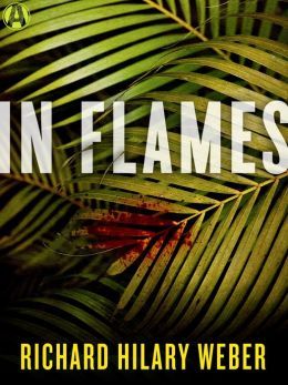 In Flames by Richard Hilary Weber