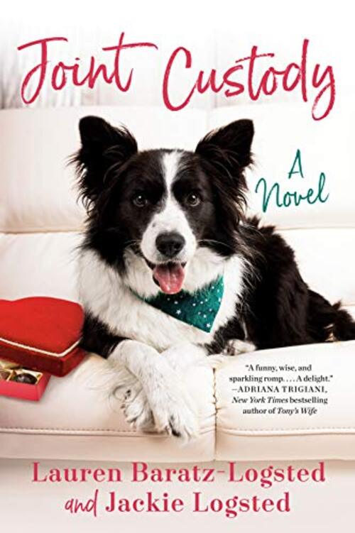 Joint Custody by Jackie Logsted
