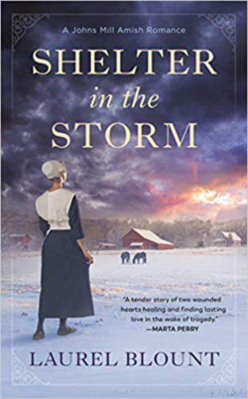 Excerpt of Shelter in the Storm by Laurel Blount