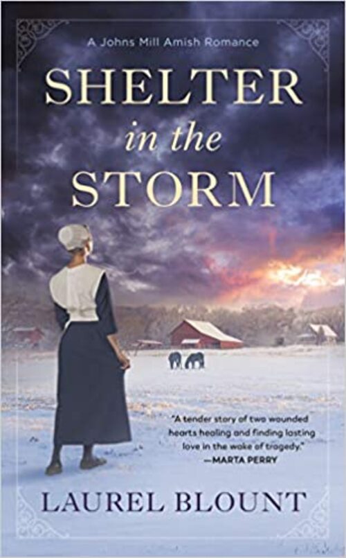 Shelter in the Storm by Laurel Blount