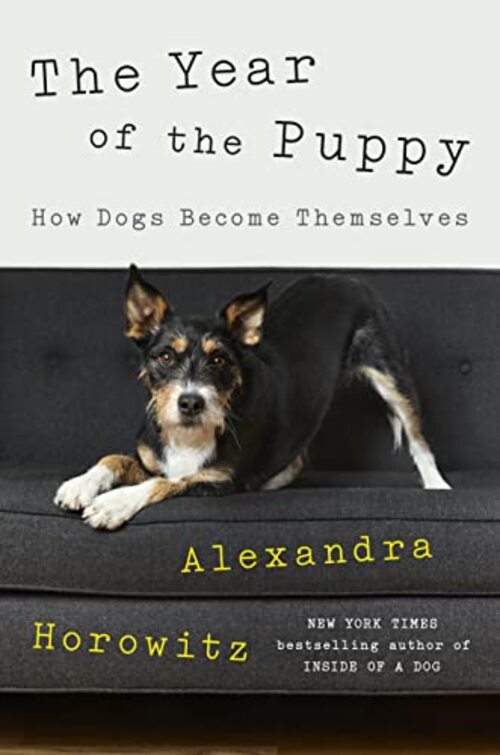 The Year of the Puppy by Alexandra Horowitz