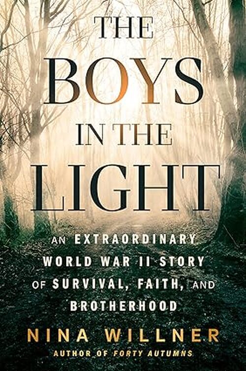 The Boys In The Light by Nina Willner