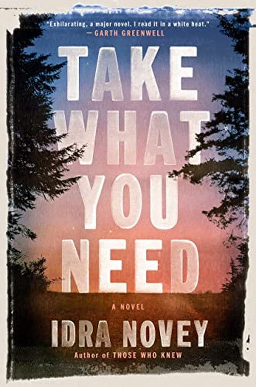 Take What You Need by Idra Novey