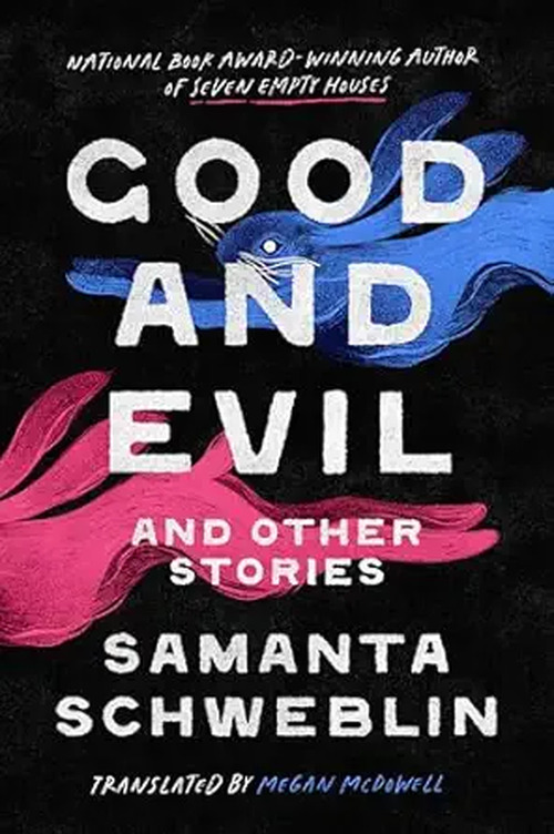 Good and Evil and Other Stories by Samanta Schweblin