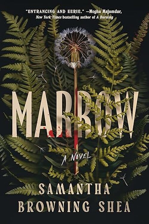 Marrow by Samantha Browning Shea