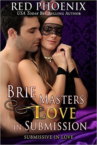Brie Masters Love in Submission by Red Phoenix