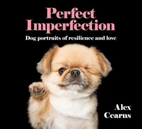 Perfect Imperfection: Dog Portraits Of Resilience And Love by Alex Cearns