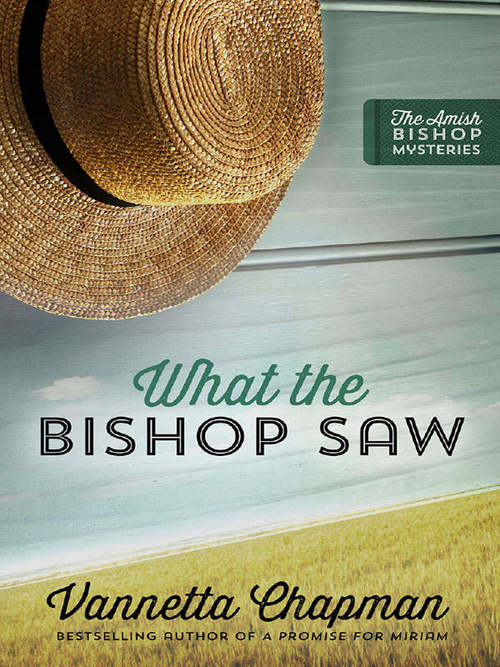 What the Bishop Saw by Vannetta Chapman