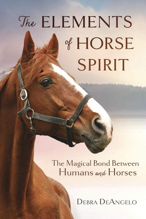 The Elements of Horse Spirit by Debra Deangelo