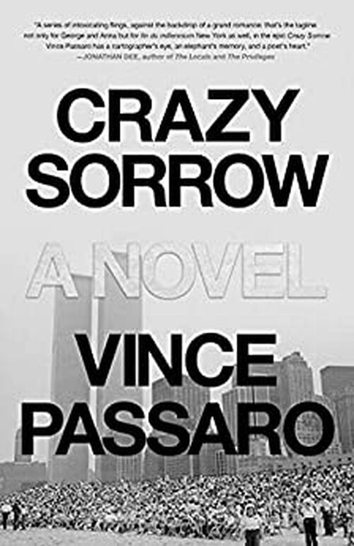 Crazy Sorrow by Vince Passaro