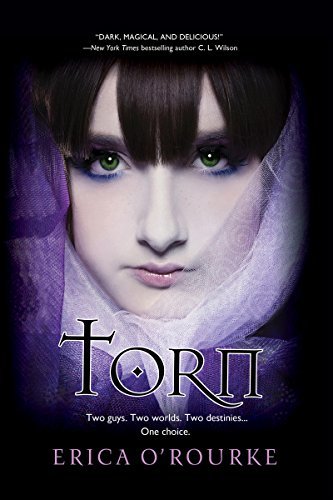 Torn by Erica O'Rourke