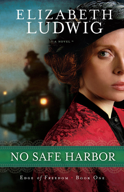 No Safe Harbor by Elizabeth Ludwig