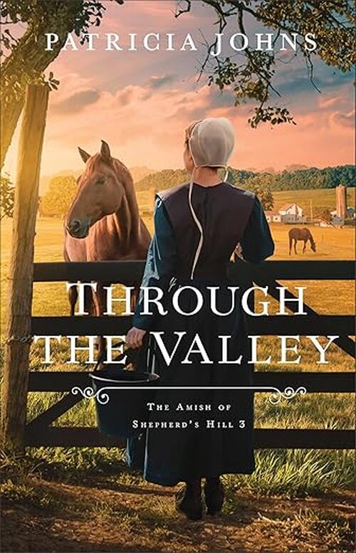 Through the Valley by Patricia Johns