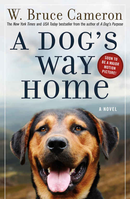 A Dog's Way Home by W. Bruce Cameron