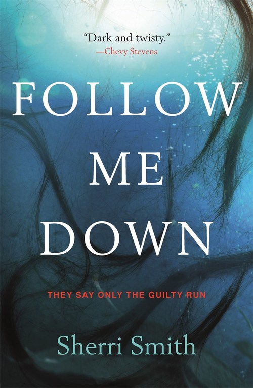Follow Me Down by Sherri Smith