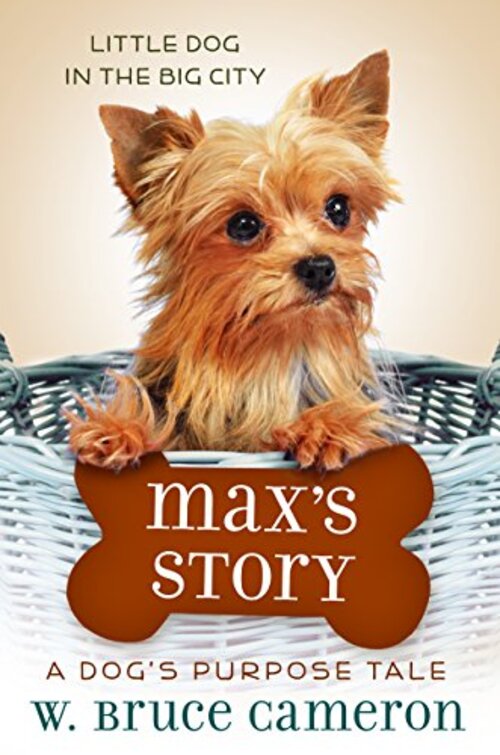 Max's Story