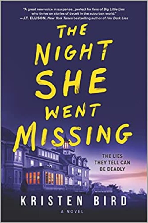 The Night She Went Missing by Kristen Bird