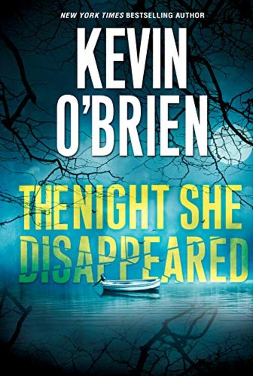 synopsis of the night she disappeared a novel