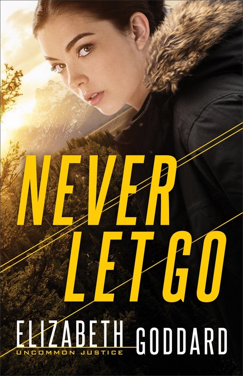 Never Let Go by Elizabeth Goddard