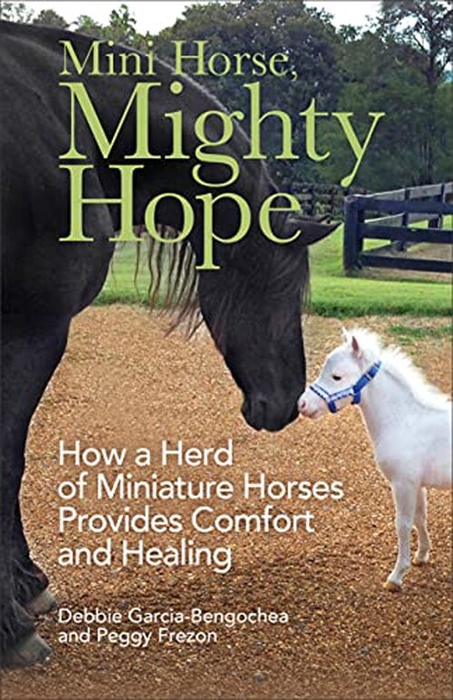 Mini Horse, Mighty Hope by Debbie Garcia-Bengochea