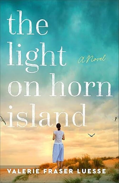 The Light on Horn Island by Valerie Fraser Luesse