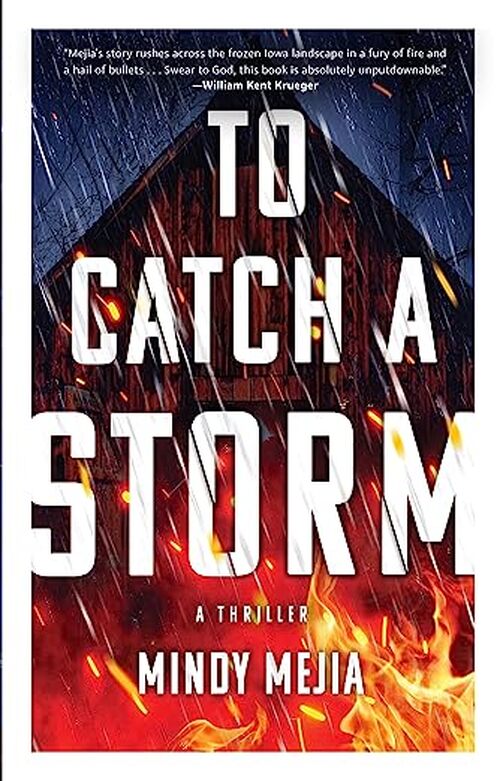 To Catch a Storm by Mindy Mejia