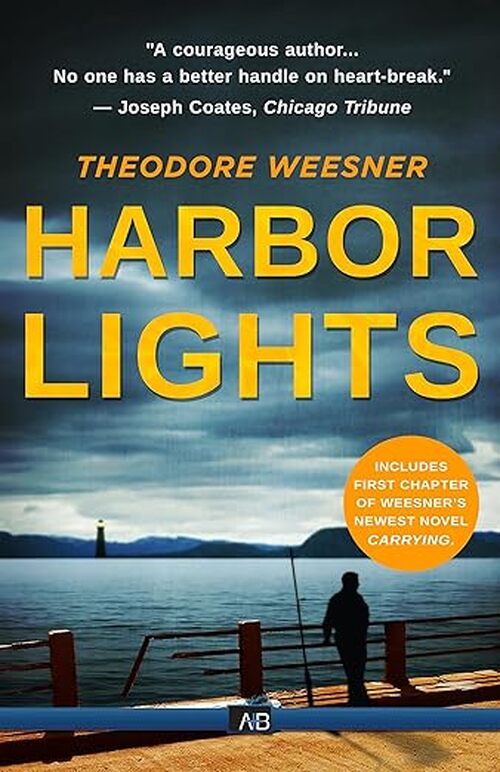 Harbor Lights by James Lee Burke