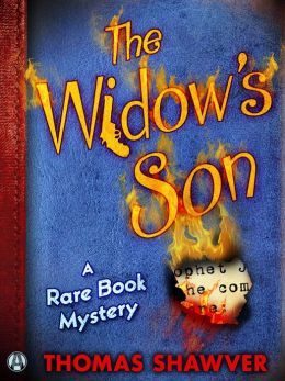 The Widow's Son by Thomas Shawver