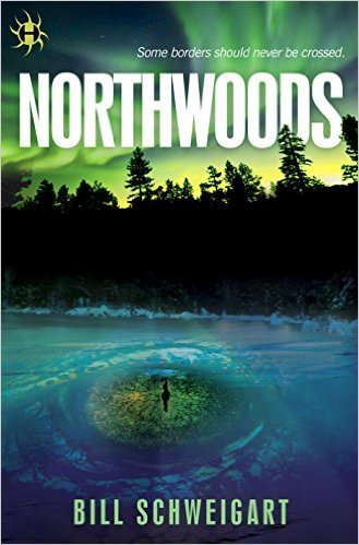 Northwoods by Bill Schweigart