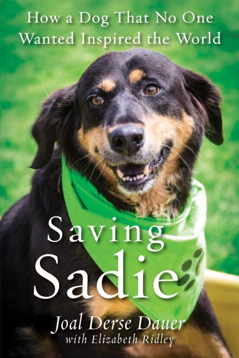 Saving Sadie by Joal Derse Dauer